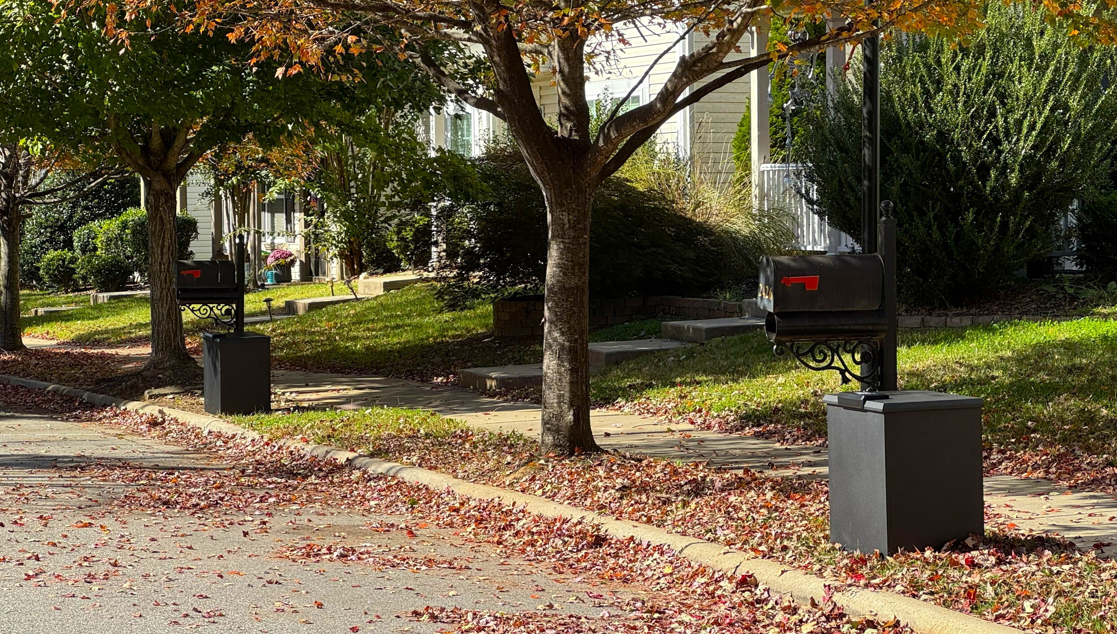 Street view with Loxx Boxxes and a tree in a residential area