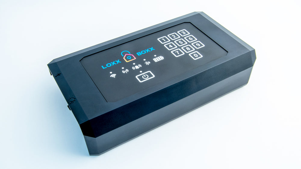 Electronics Panel Wi-Fi - LTE – Loxx Boxx